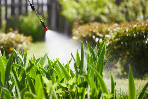 Tamper-Resistant Bait Stations for Rodents in Elkin