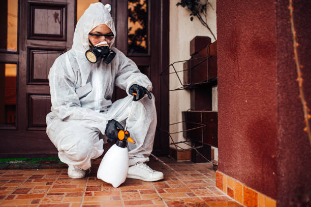 Attic and Crawl Space Rodent Treatment in Elkin