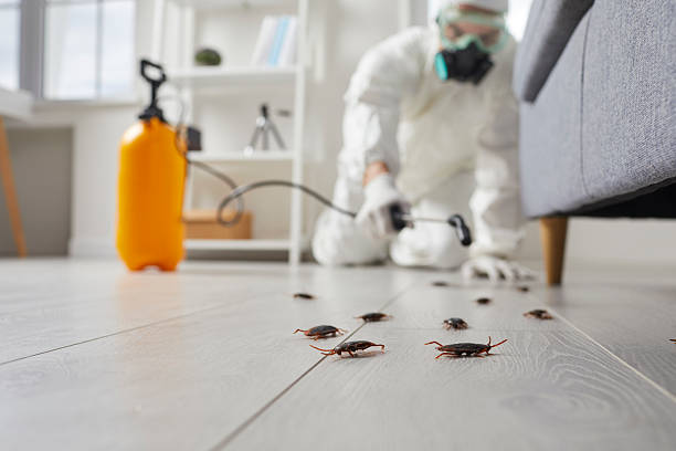 Commercial Rodent Management in Elkin
